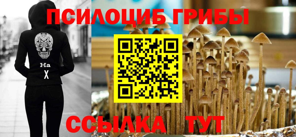 Галлюциногенные грибы Magic Shrooms  Вход с VPN  Кингисепп 