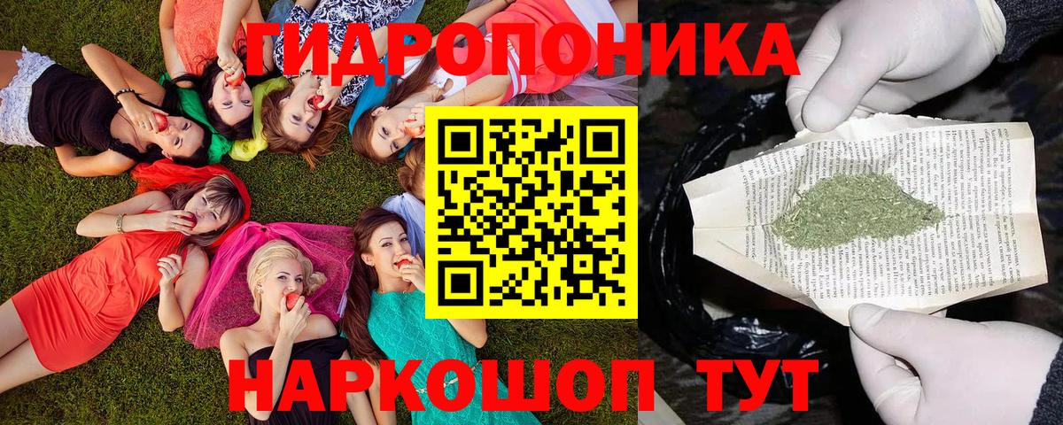 Марихуана сатива  Бошки марихуана тримм  Вход с VPN  Кингисепп  Бошки марихуана THC 21% 